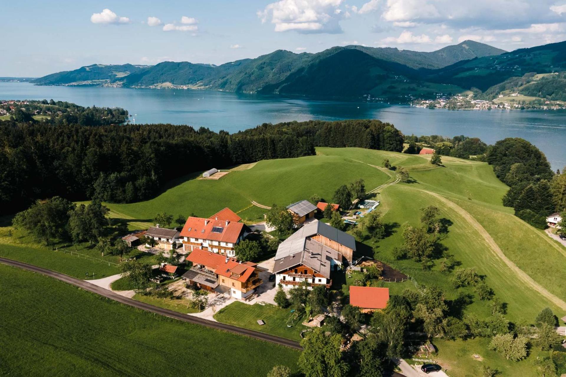 Ferienwohnung Grubinger Unterach am Attersee Exterior foto
